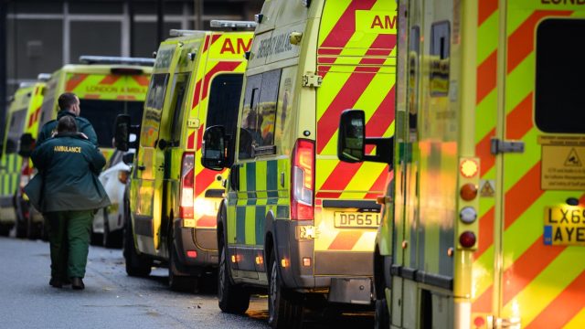 Penile fracture risk higher over Christmas