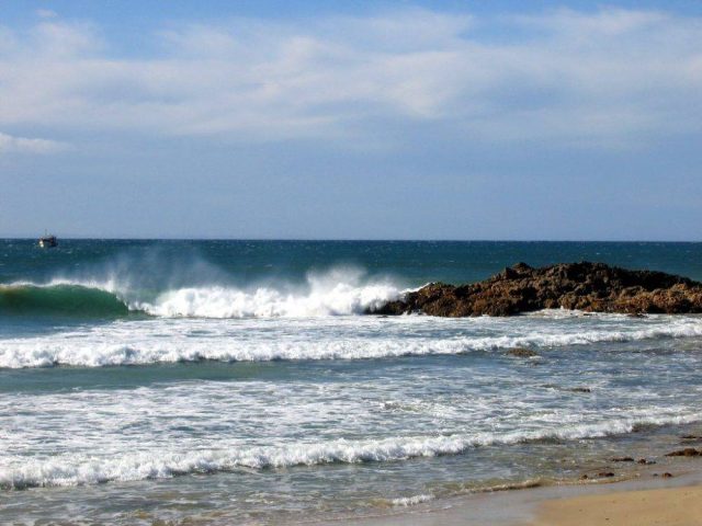Environmental groups plan to appeal seismic survey in Algoa