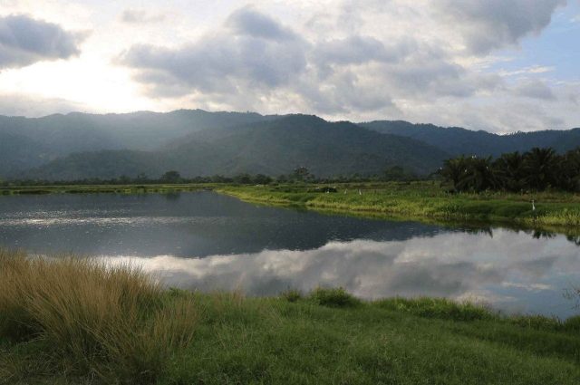 Canada’s Gildan secures spot on DJSI North America for 11th year