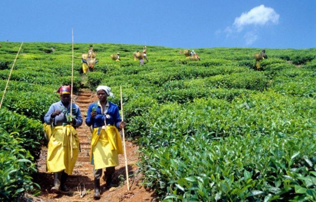 US promises SA funds for climate change