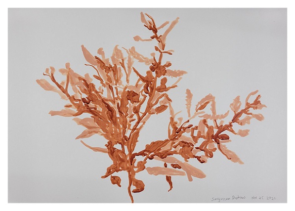 Practicing Agape: Art Sale for Doctors Without Borders