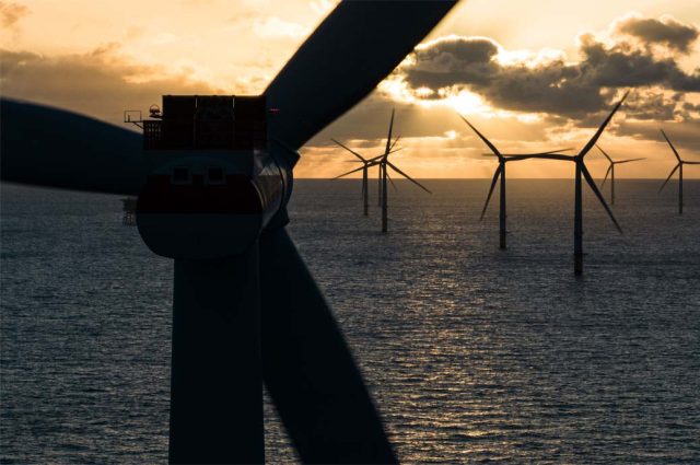 Bestseller to invest $100 mn in renewable energy in Bangladesh