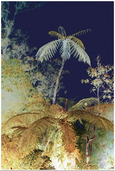 “7 Questions for Gallerist David Nolan” (on Art Basel Miami Beach)