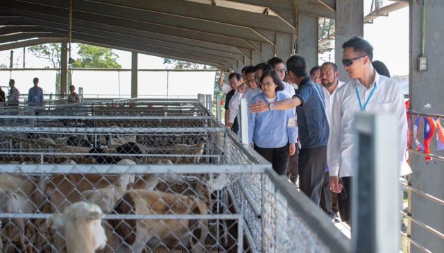 Ministry of Agriculture: Belize-Taiwan Genetic Improvement in Sheep and Goat Project is a remarkable success