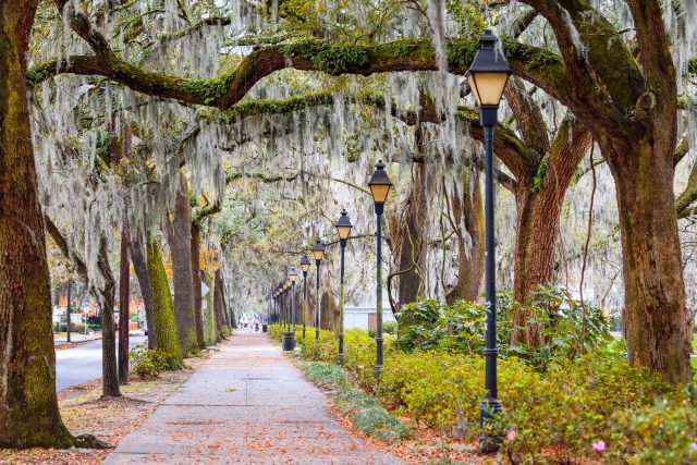 Savannah, Georgia: an elegant, complicated Southern gem