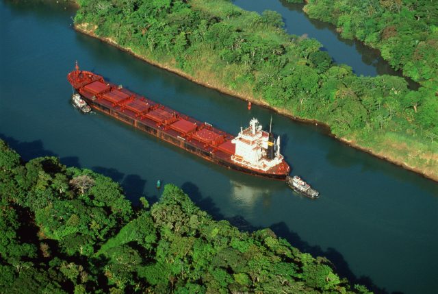 'Reengineering the environment is unlikely to offer a full solution'