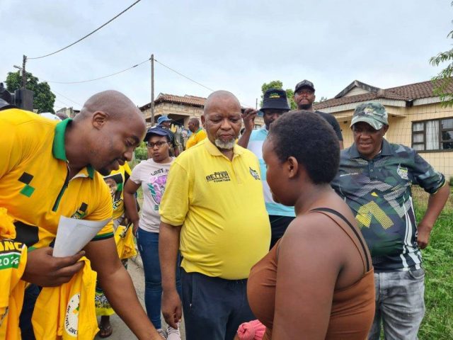 Gwede Mantashe defends corruption accused Zandile Gumede’s ANC campaigning