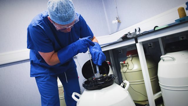 Alabama clinics stop IVF care after court ruling