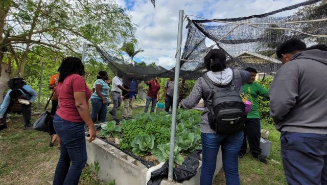 Belize District farmers, teachers, students visit Orange Walk District schools with objective of enhancing agricultural education