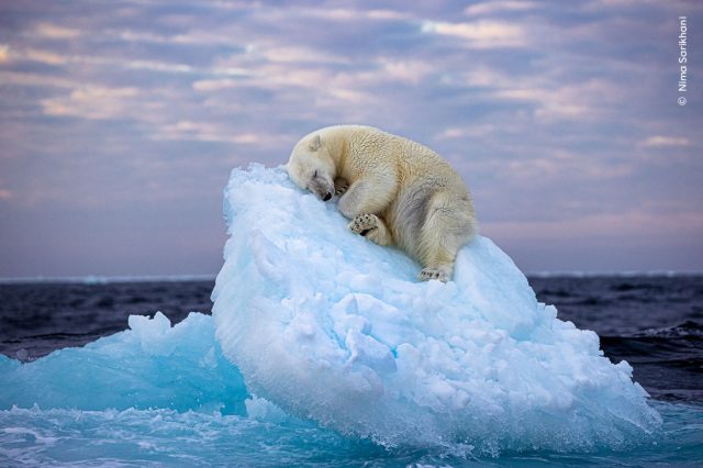 The week's best photos