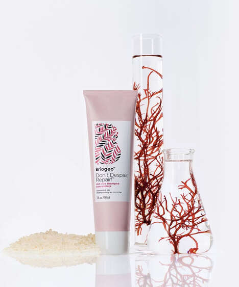 Repairing Rice Shampoos - Briogeo's Rich Rice Shampoo Concentrate is Avaialbe at Sephora (TrendHunter.com)