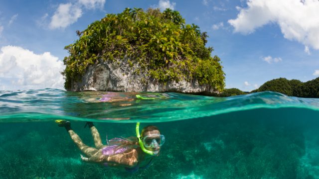 Palau: diving in a tropical Pacific paradise