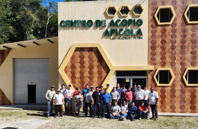 27 Belizean beekeepers visit Guatemala to learn more about beekeeping practices