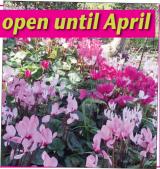 3/23/2024: News: Blooming good garden display open until April