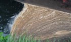 Nature destruction will cause bigger economic slump in UK than 2008 crisis, experts warn