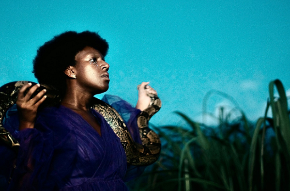12th IFF Panama captures the excitement of Central American and Caribbean film