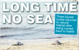 4/27/2024: News: LONG TIME NO SEA