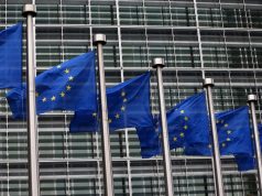 European election results 2024