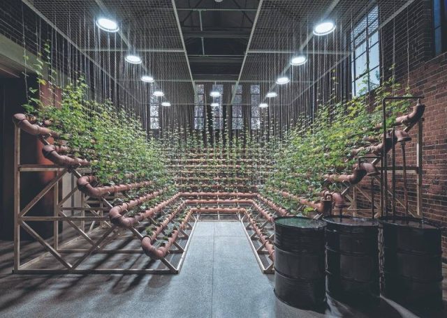 Ecospheres: The climate crisis through artists’ eyes