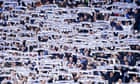 Does the Premier League beckon for Leeds? The EFL preview – Football Weekly Extra