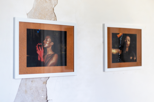 Superposition Gallery hosts exhibition spotlighting artist of Caribbean heritage