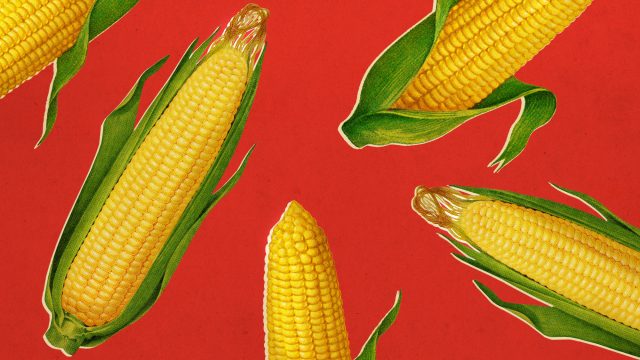 How 'corn sweat' has made summer in the Midwest worse