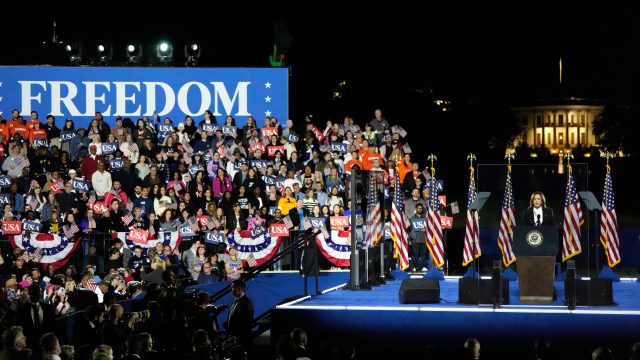 Harris makes closing case in huge rally at DC's Ellipse