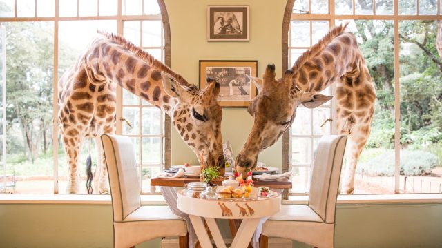 5 animated hotels where the wild things very much are