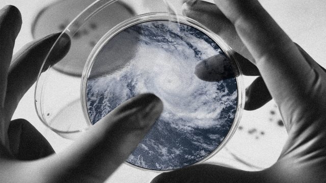 The bacterial consequences of hurricanes