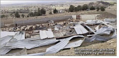 11/30/2024: News: Government vows to support storm victims
