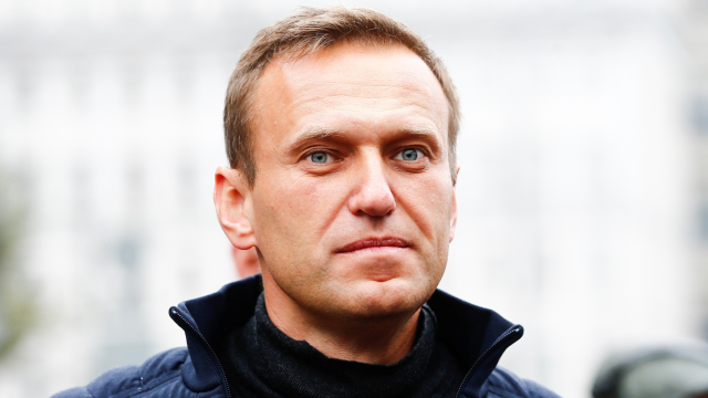 Patriot: Alexei Navalny's memoir is as 'compelling as it is painful'