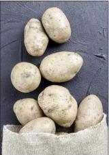 12/7/2024: News: Hot potato prices for imported spuds