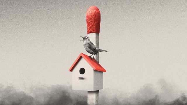 How will home insurance change after LA's fires?
