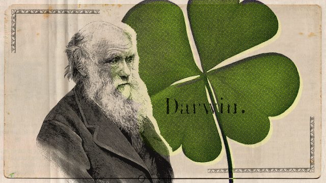Luck be an evolutionary lady tonight