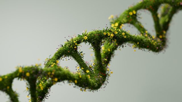Animals that are adapting to climate change