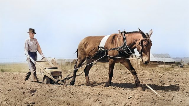 'It also means the start of a virtuous ecological cycle'