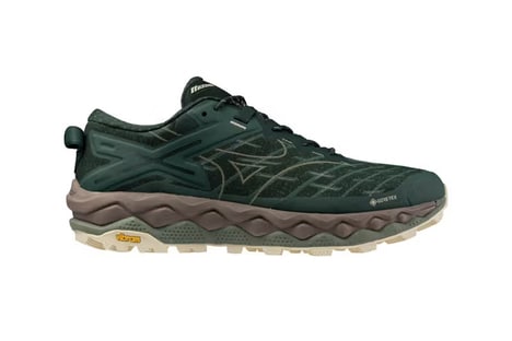 Sporty Performance-Driven Shoes - Mizuno Launches the Wave Mujin LS GTX in 'Pine Grove' and 'Black' (TrendHunter.com)