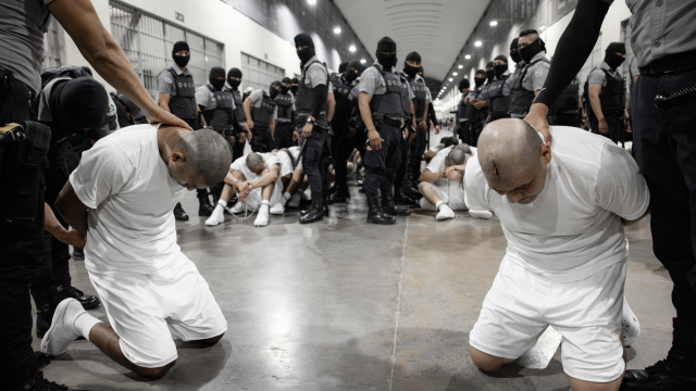 The El Salvador mega-prison at the centre of Trump's deportation scheme