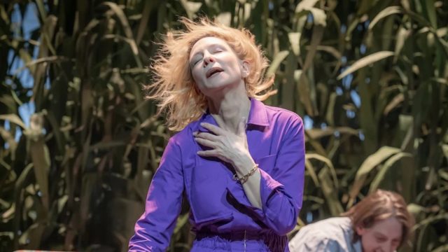 The Seagull: Cate Blanchett leads 'powerhouse ensemble' in Chekhov classic