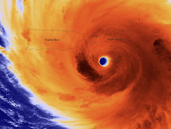 Symposium—Hurricane Worlds: Extinctions and Futures