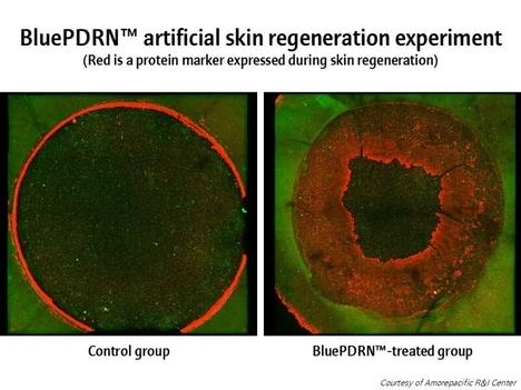 Plant-Based Skin Regeneration Compounds - Amorepacific Releases Its Groundbreaking Research Findings (TrendHunter.com)