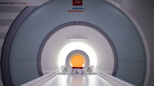 Full-body scans: more panic than panacea?