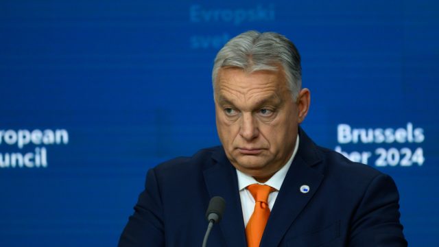 'What is this Hungarian model they so admire?'
