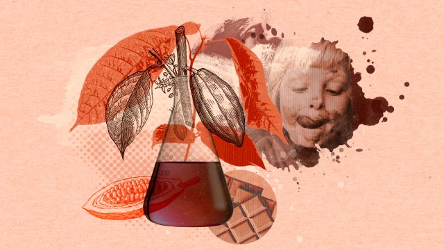 The secrets of lab-grown chocolate