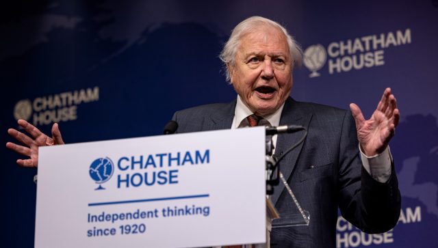 David Attenborough at 99: a 'radical' voice for climate action