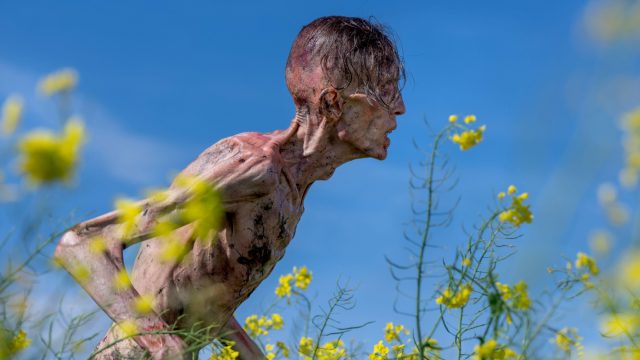 Fast-and-furious zombies, serial killer sharks and a matchmaking conundrum in June's new movies