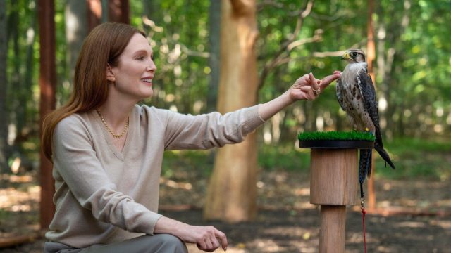 Sirens: entertaining satire on the lives of the ultra-wealthy stars Julianne Moore