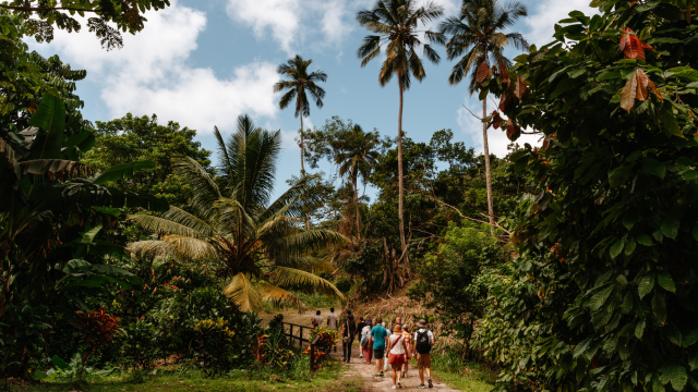 Saint Lucia: a haven for chocoholics