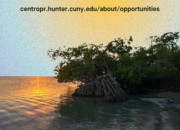 Rooted + Relational CENTRO Research Associate Program 2025-2026