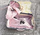 5/17/2025: News: Bomb scare in the capital